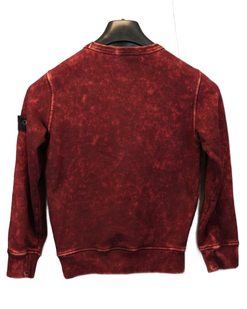 Stone Island Kids OVD Sweatshirt Red back view