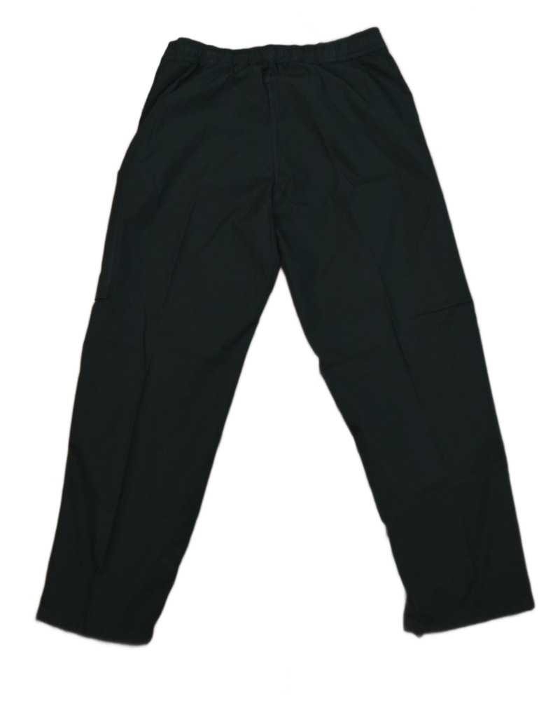 Stone Island SS27 Unreleased Cargos Green back view