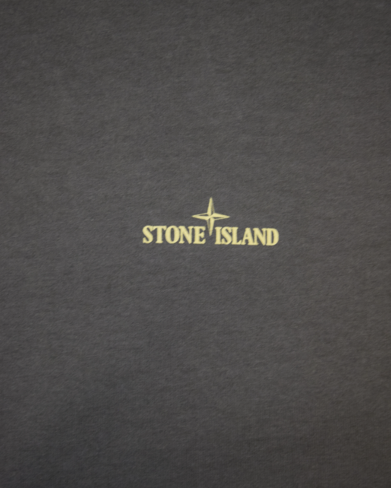 Stone Island Organic Cottom Back Compass Print T-Shirt Grey detail view