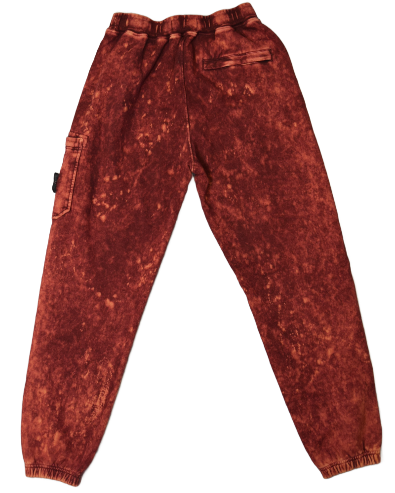 Stone Island OVD Joggers Red back view