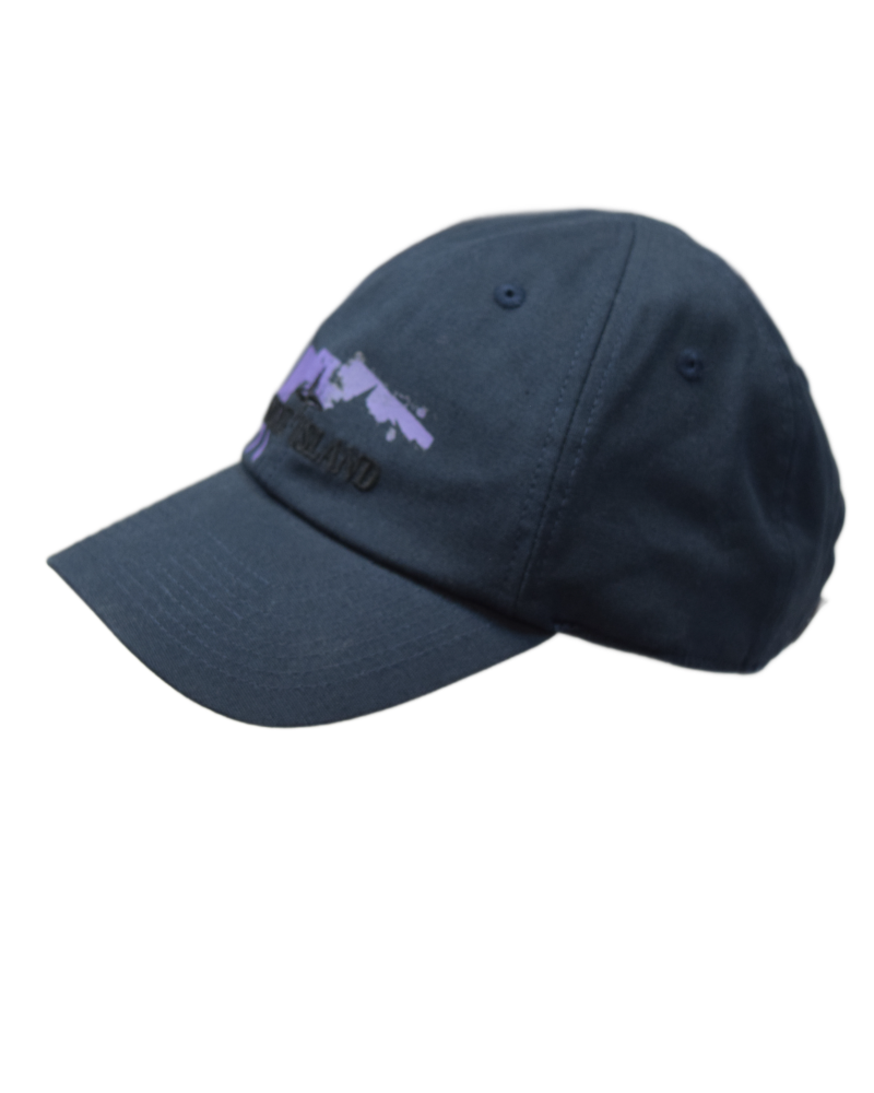 Stone Island Embroidered Cap Navy Blue back view